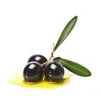 Oil