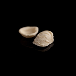 Pasta  - 