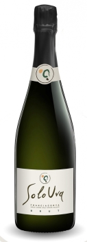 Wines - 