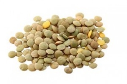 Rice & Co - 