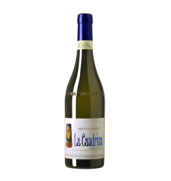 Wines - 