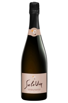 Wines - 